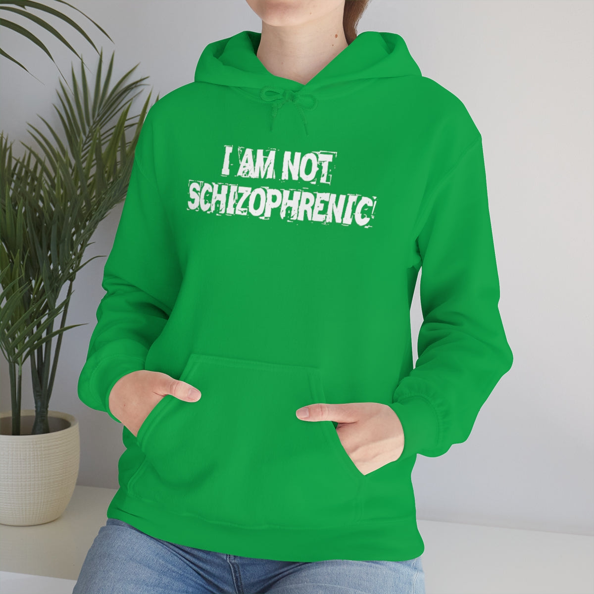 I AM NOT SCHIZOPHRENIC HOODIE