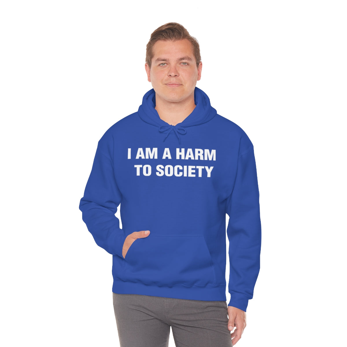 I AM A HARM  TO SOCIETY HOODIE