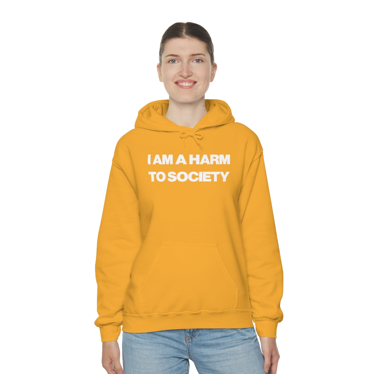 I AM A HARM TO SOCIETY HOODIE