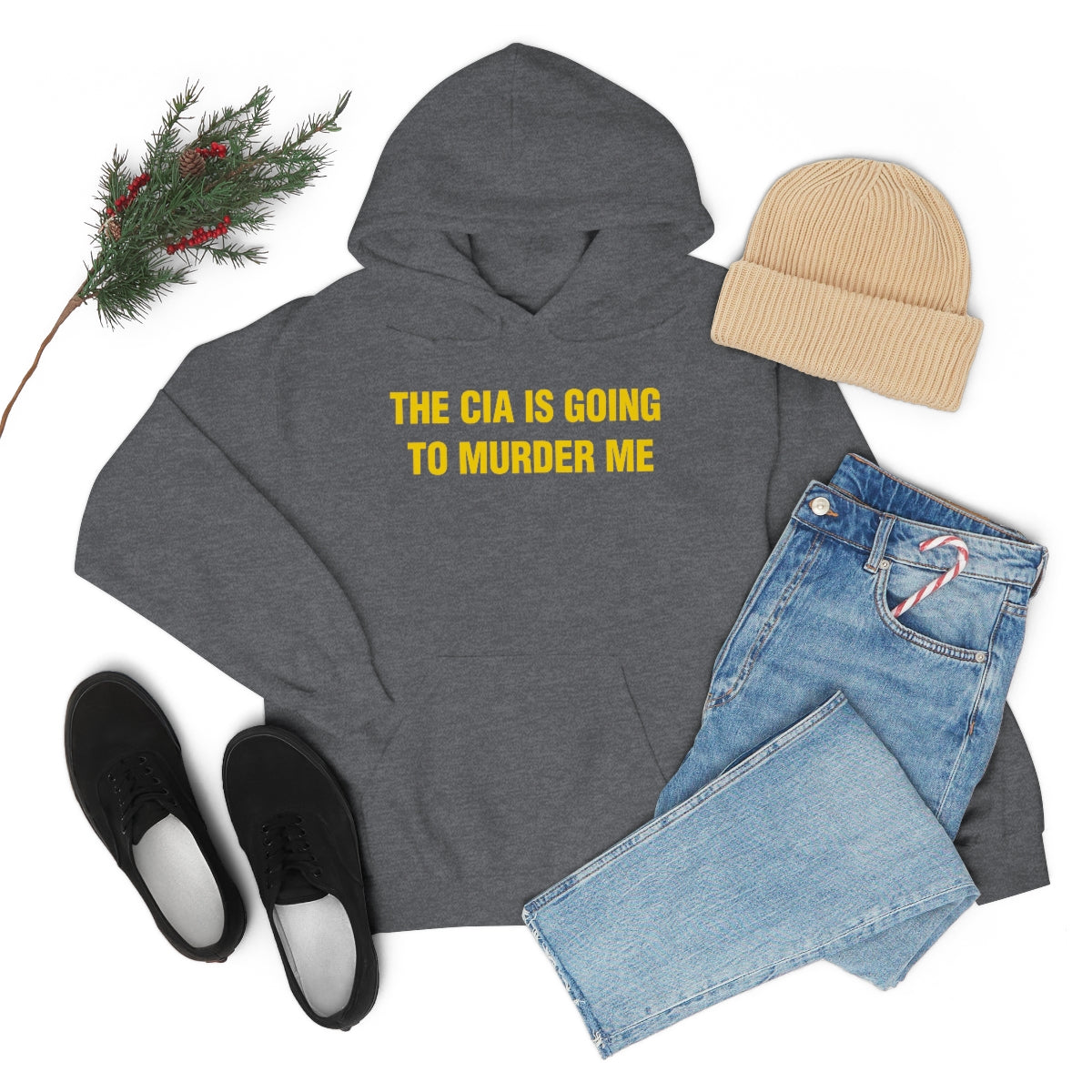 THE CIA IS GOING  TO MURDER ME HOODIE