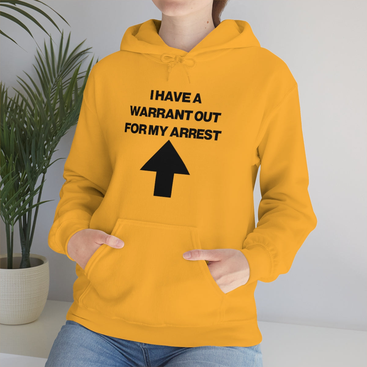 I HAVE A WARRANT OUT FOR MY ARREST HOODIE