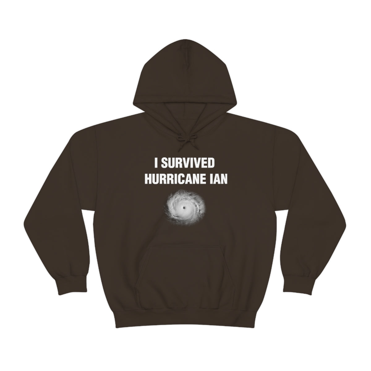 I SURVIVED HURRICANE IAN HOODIE