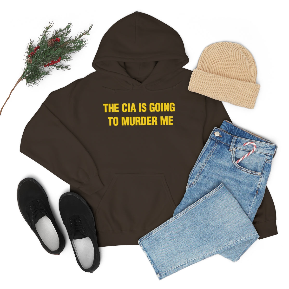 THE CIA IS GOING  TO MURDER ME HOODIE