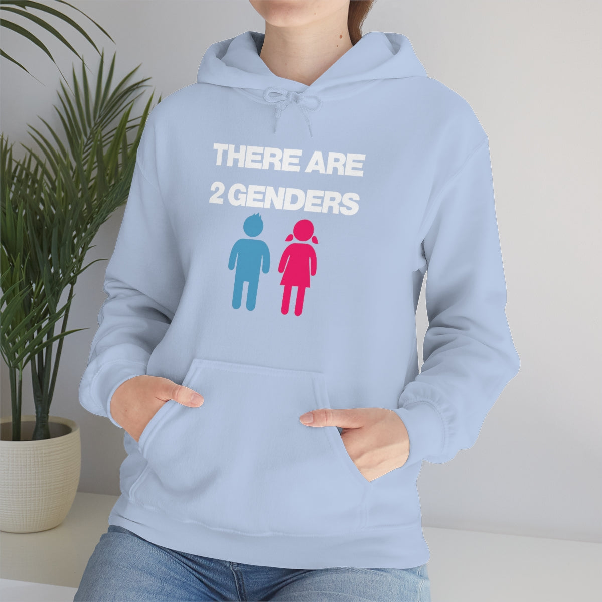 THERE ARE 2 GENDERS HOODIE