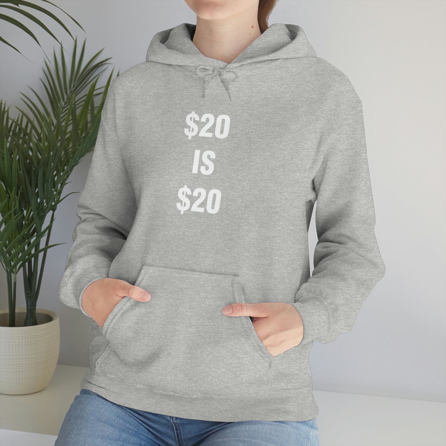 $20 IS $20 HOODIE