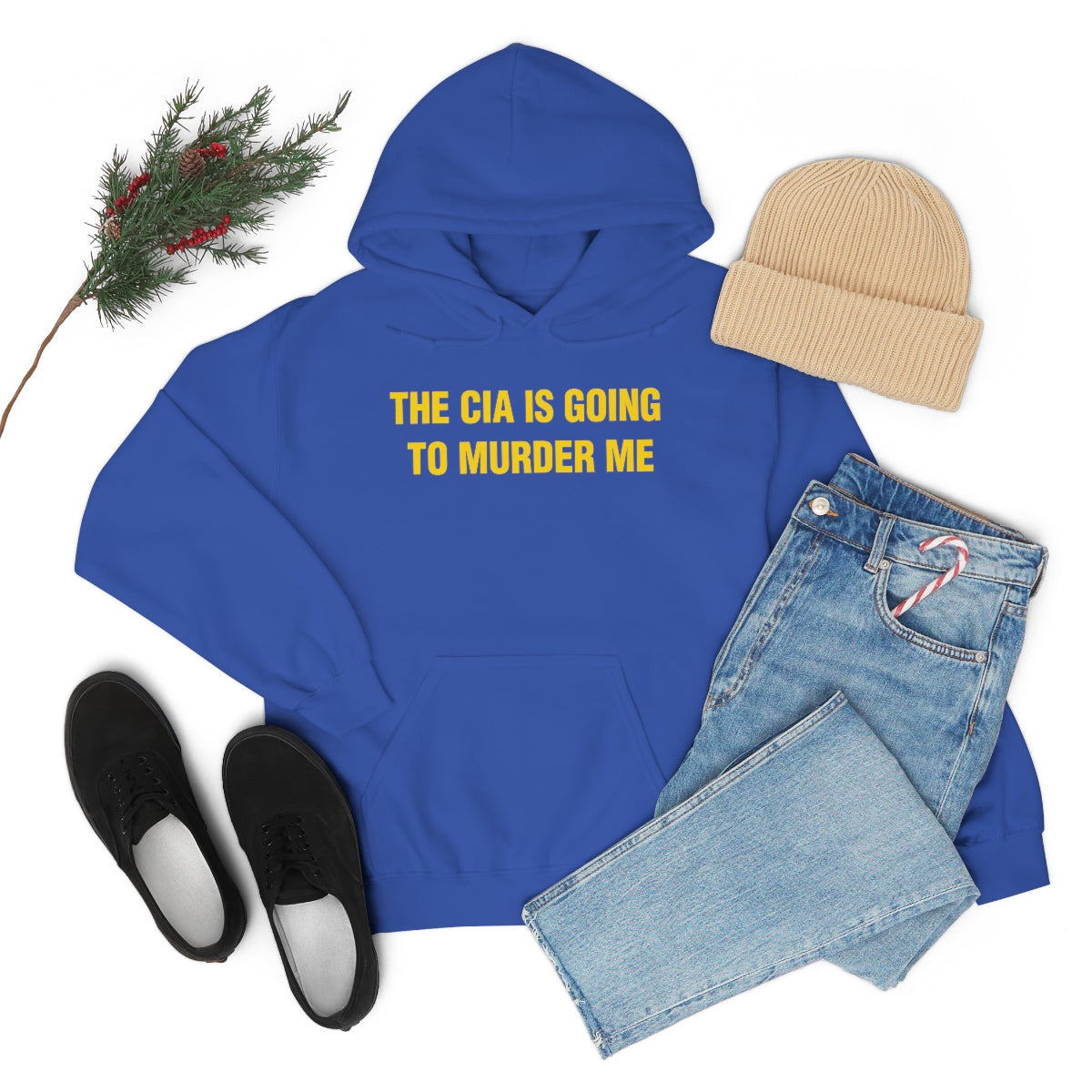 THE CIA IS GOING  TO MURDER ME HOODIE