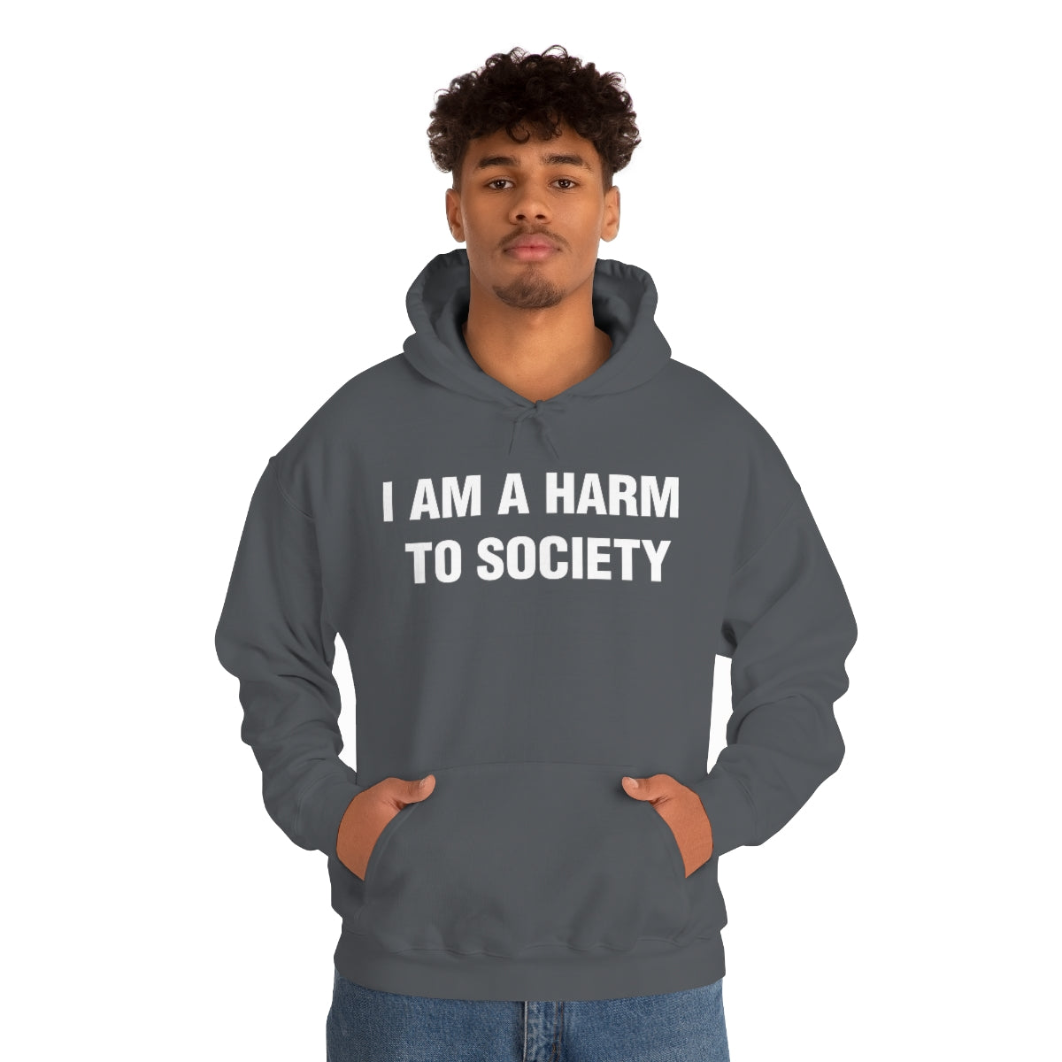 I AM A HARM  TO SOCIETY HOODIE