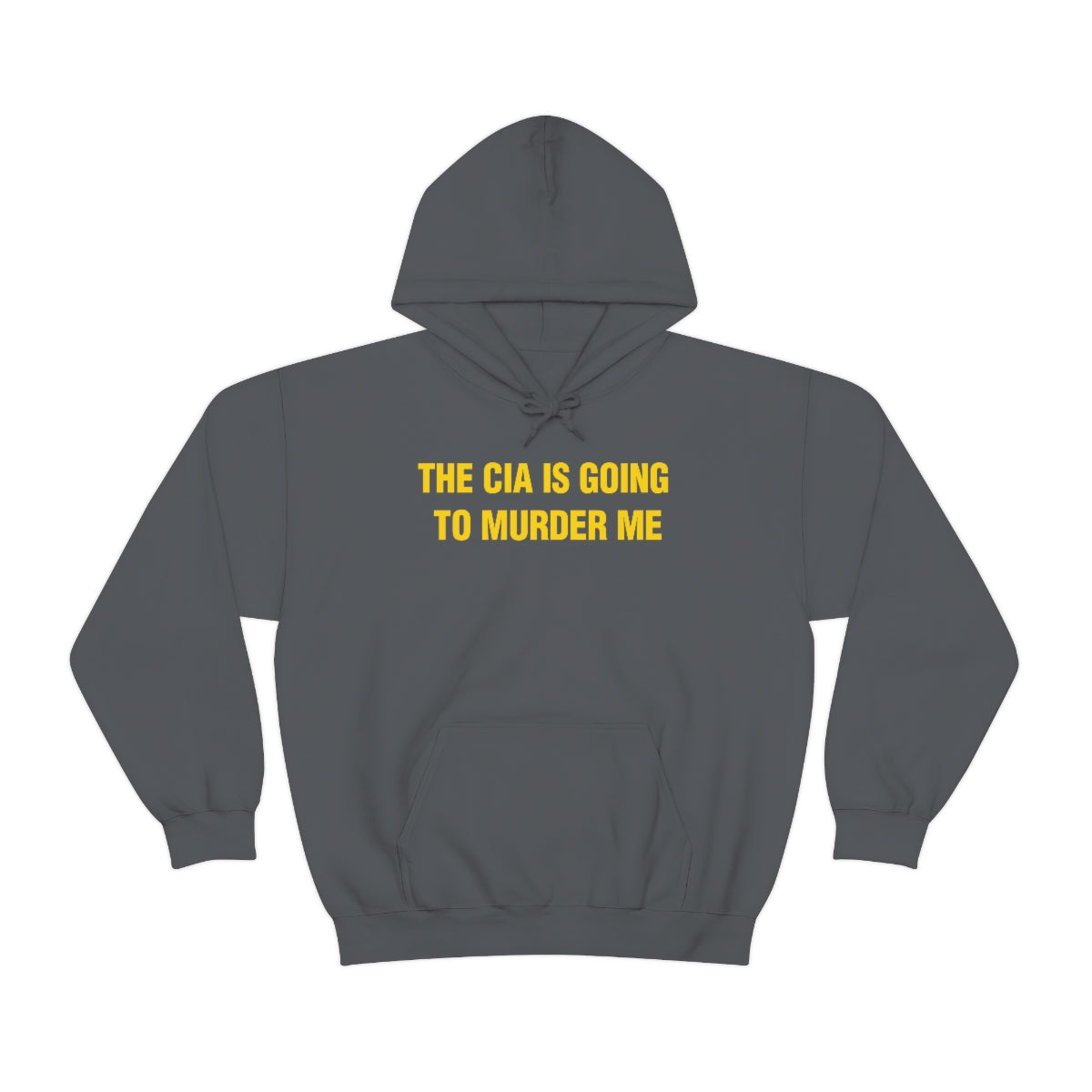 THE CIA IS GOING  TO MURDER ME HOODIE