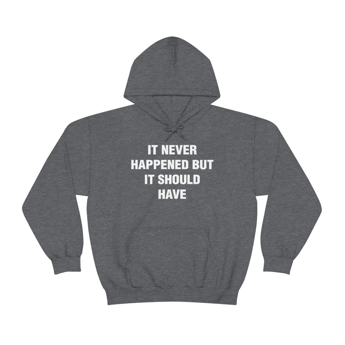 IT NEVER HAPPENED BUT IT SHOULD HAVE HOODIE