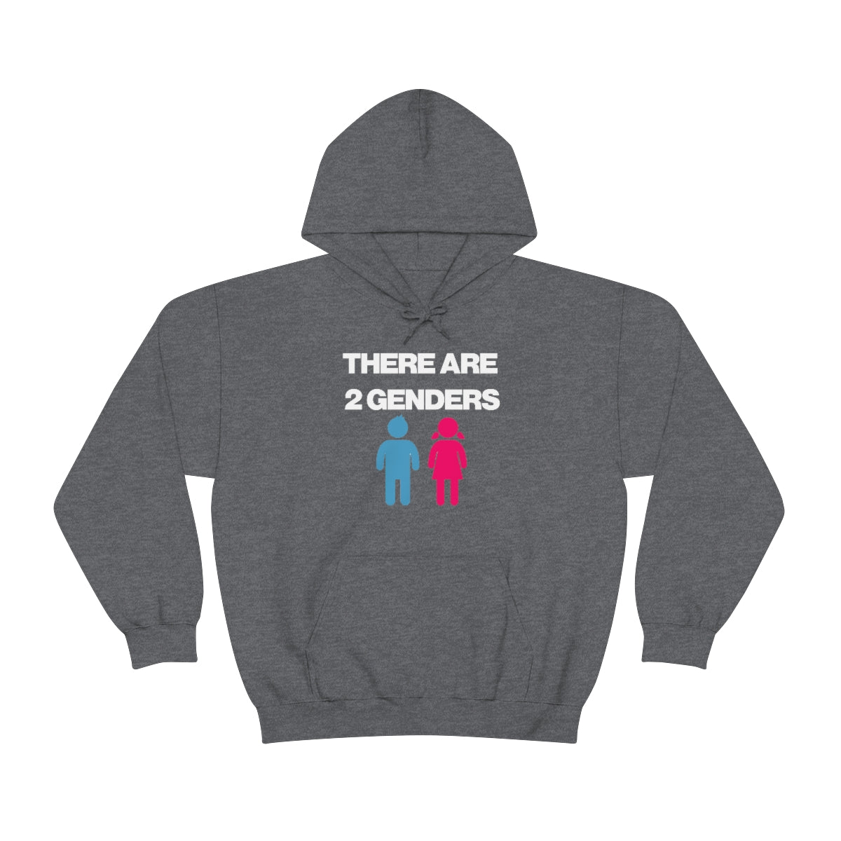 THERE ARE 2 GENDERS HOODIE