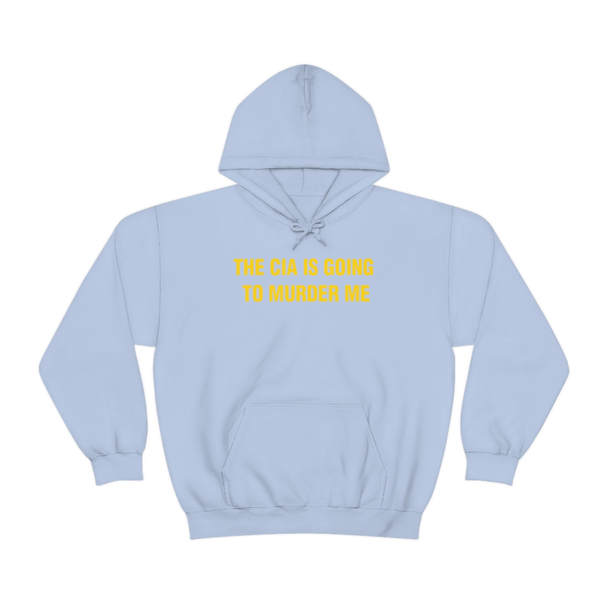 THE CIA IS GOING  TO MURDER ME HOODIE