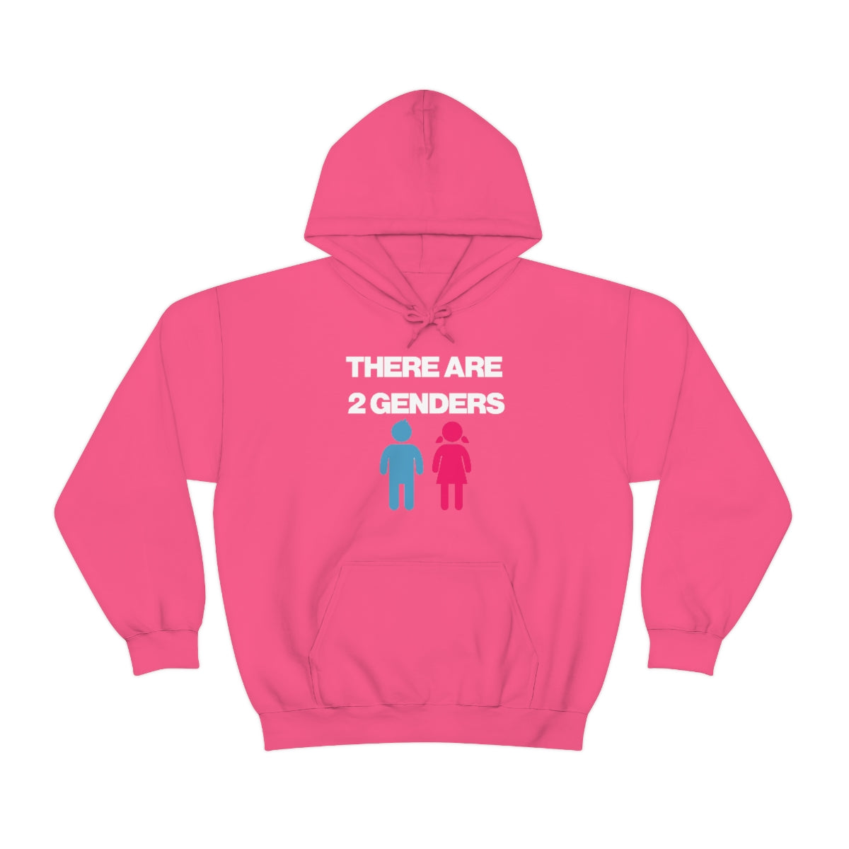 THERE ARE 2 GENDERS HOODIE