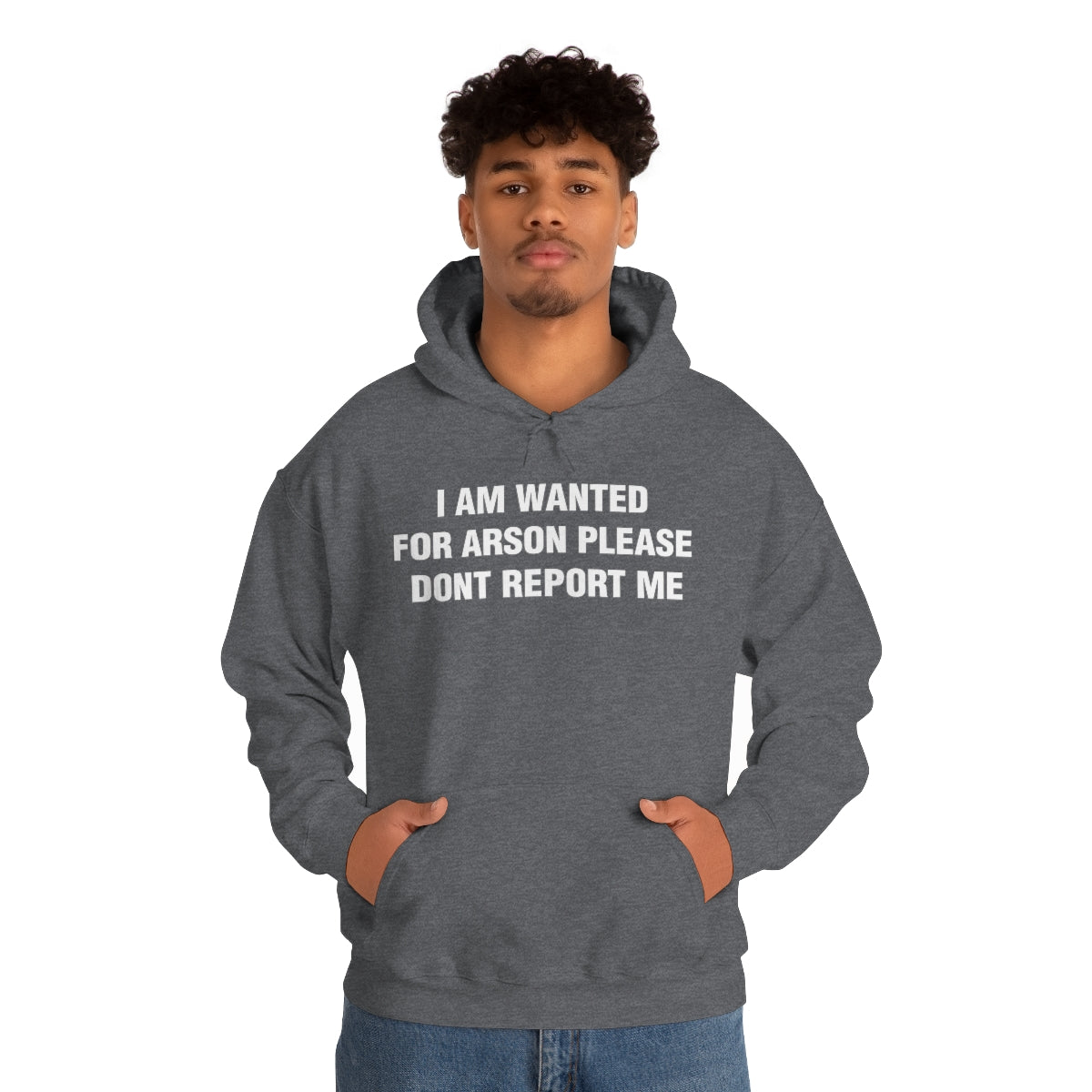 I AM WANTED  FOR ARSON PLEASE  DONT REPORT ME HOODIE