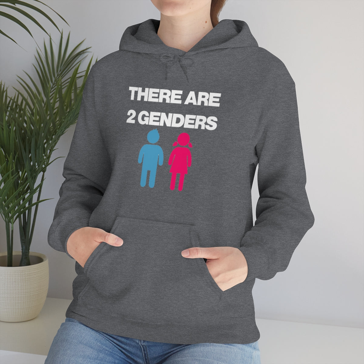 THERE ARE 2 GENDERS HOODIE