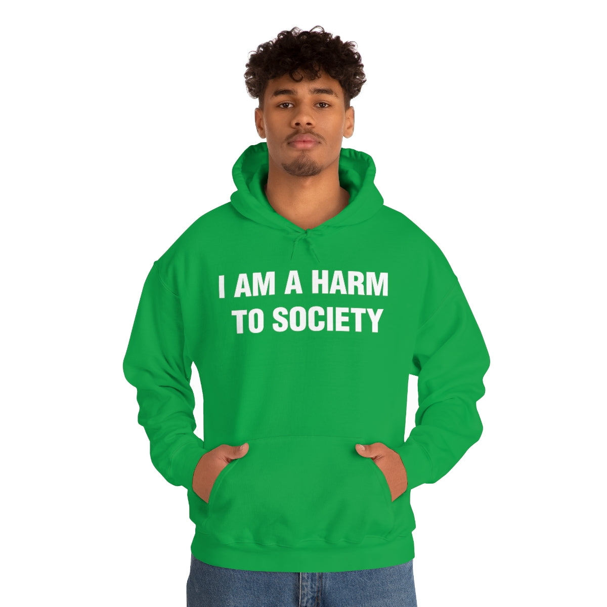 I AM A HARM  TO SOCIETY HOODIE