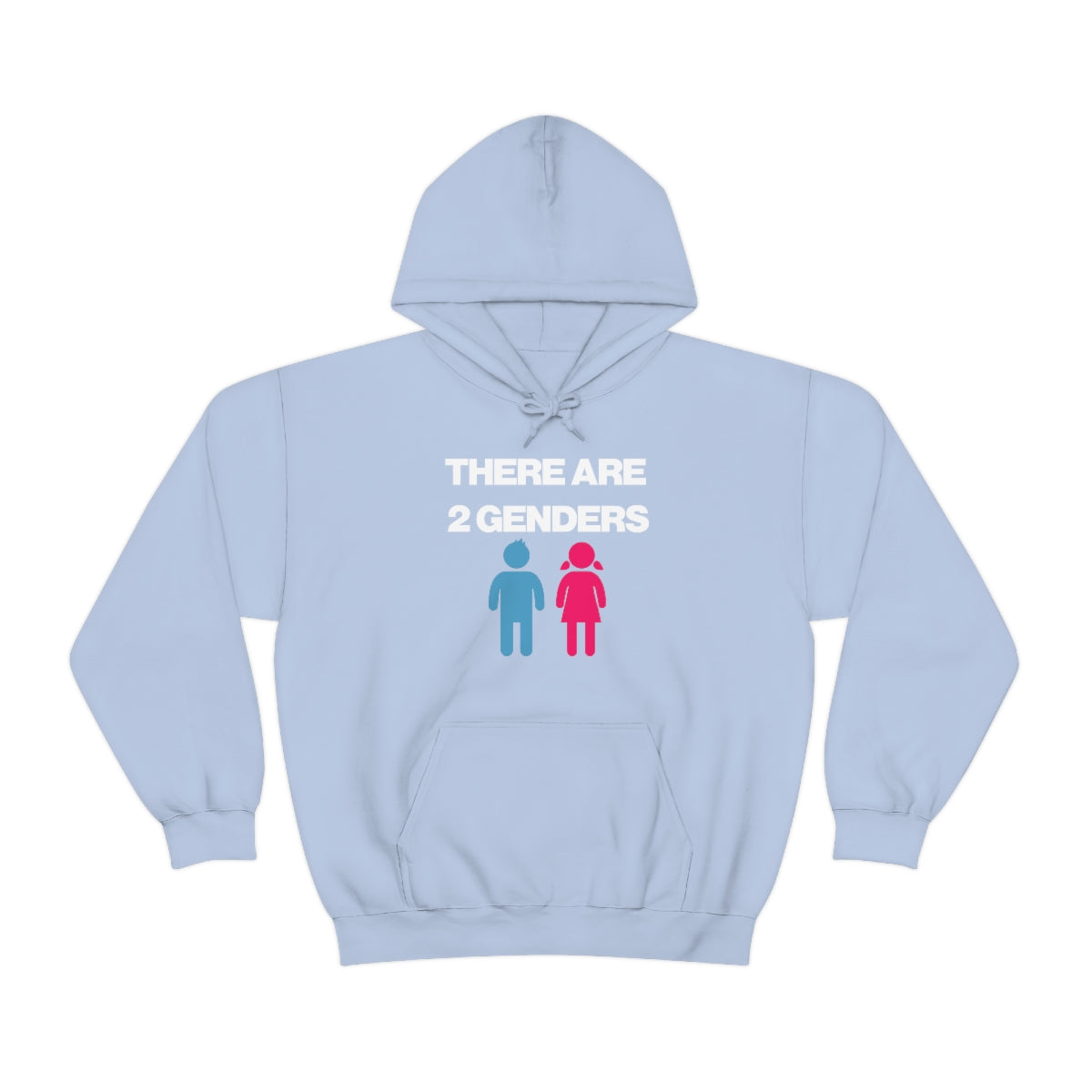 THERE ARE 2 GENDERS HOODIE