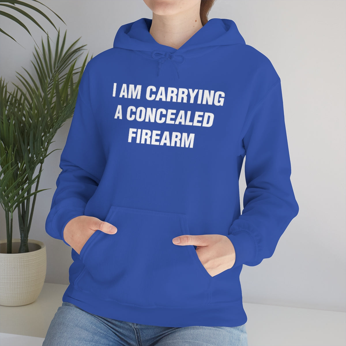 I AM CARRYING A CONCEALED FIREARM HOODIE