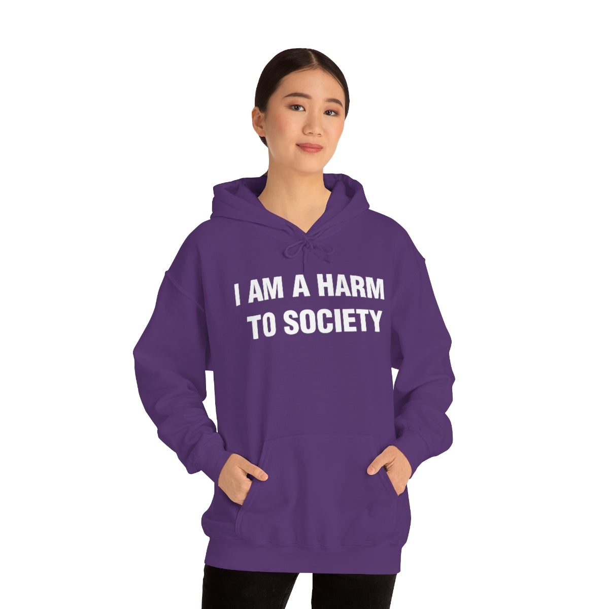 I AM A HARM  TO SOCIETY HOODIE