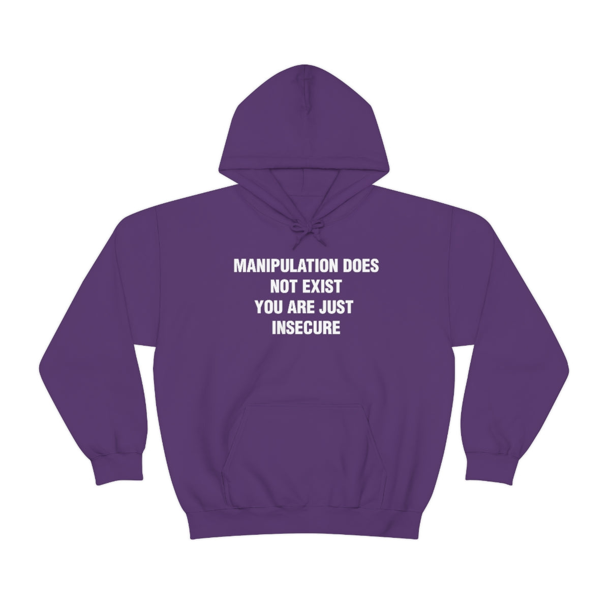 MANIPULATION DOES NOT EXIST YOUR JUST INSECURE HOODIE