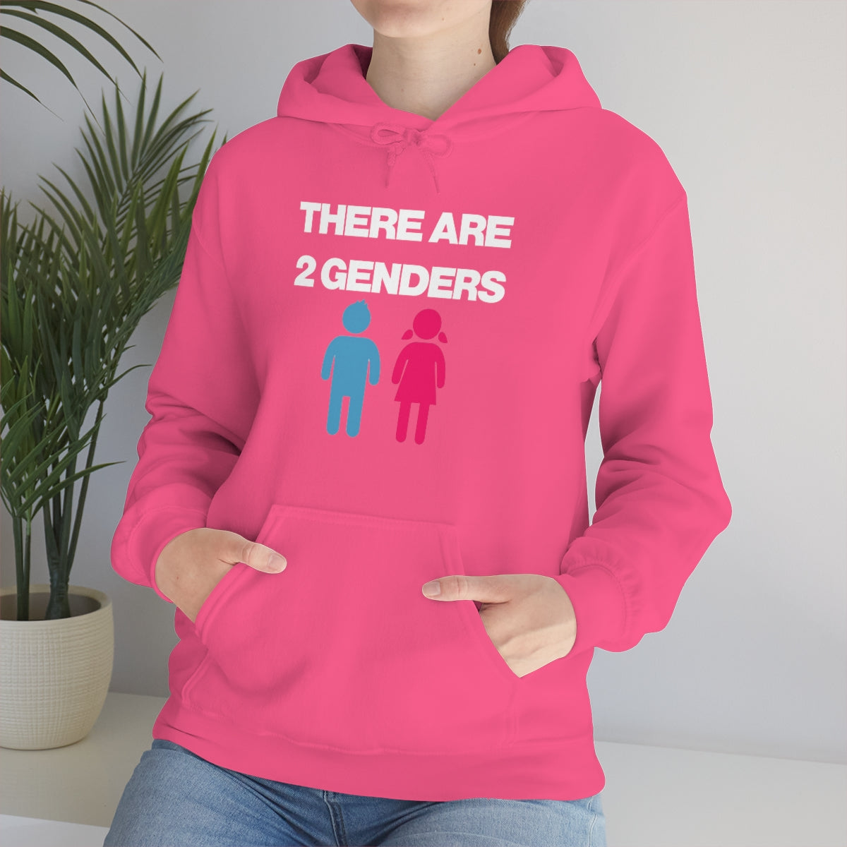 THERE ARE 2 GENDERS HOODIE