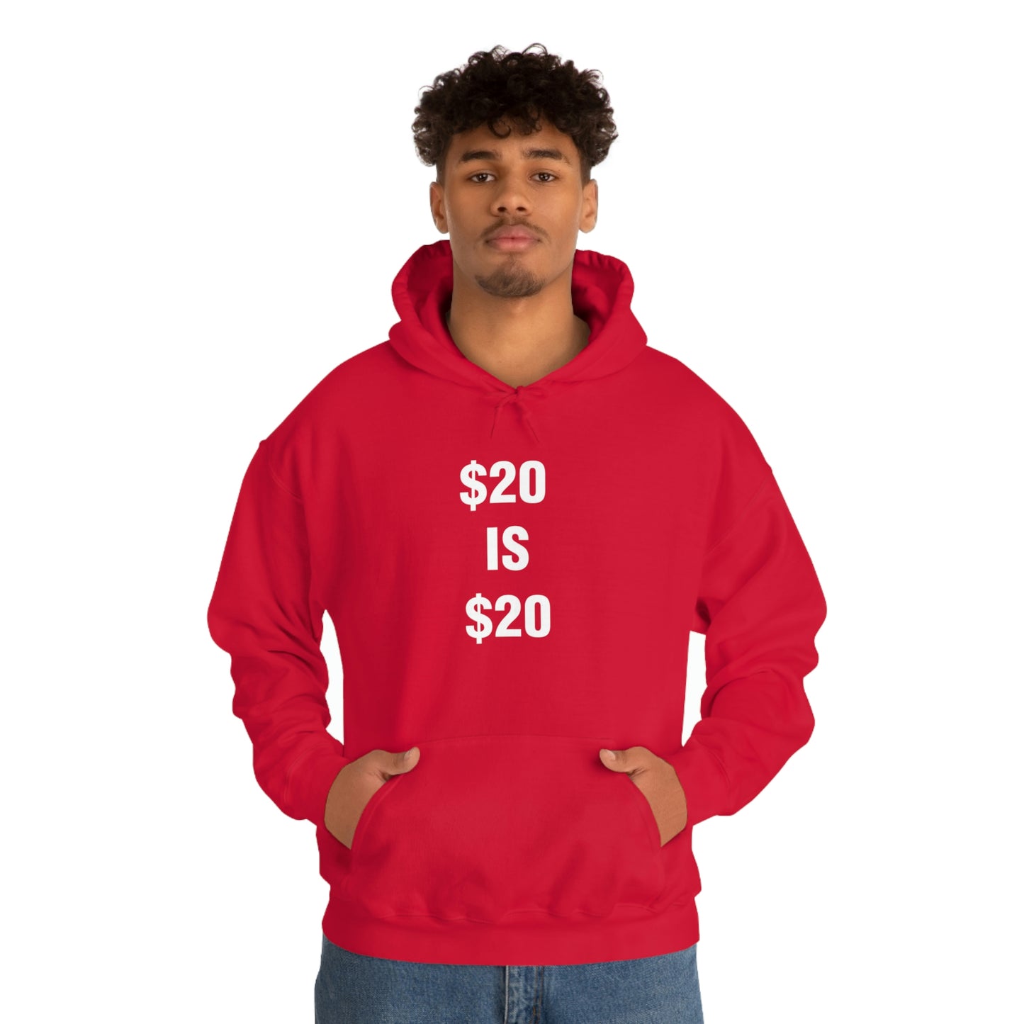 $20 IS $20 HOODIE