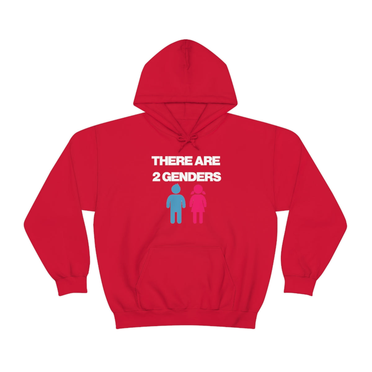 THERE ARE 2 GENDERS HOODIE