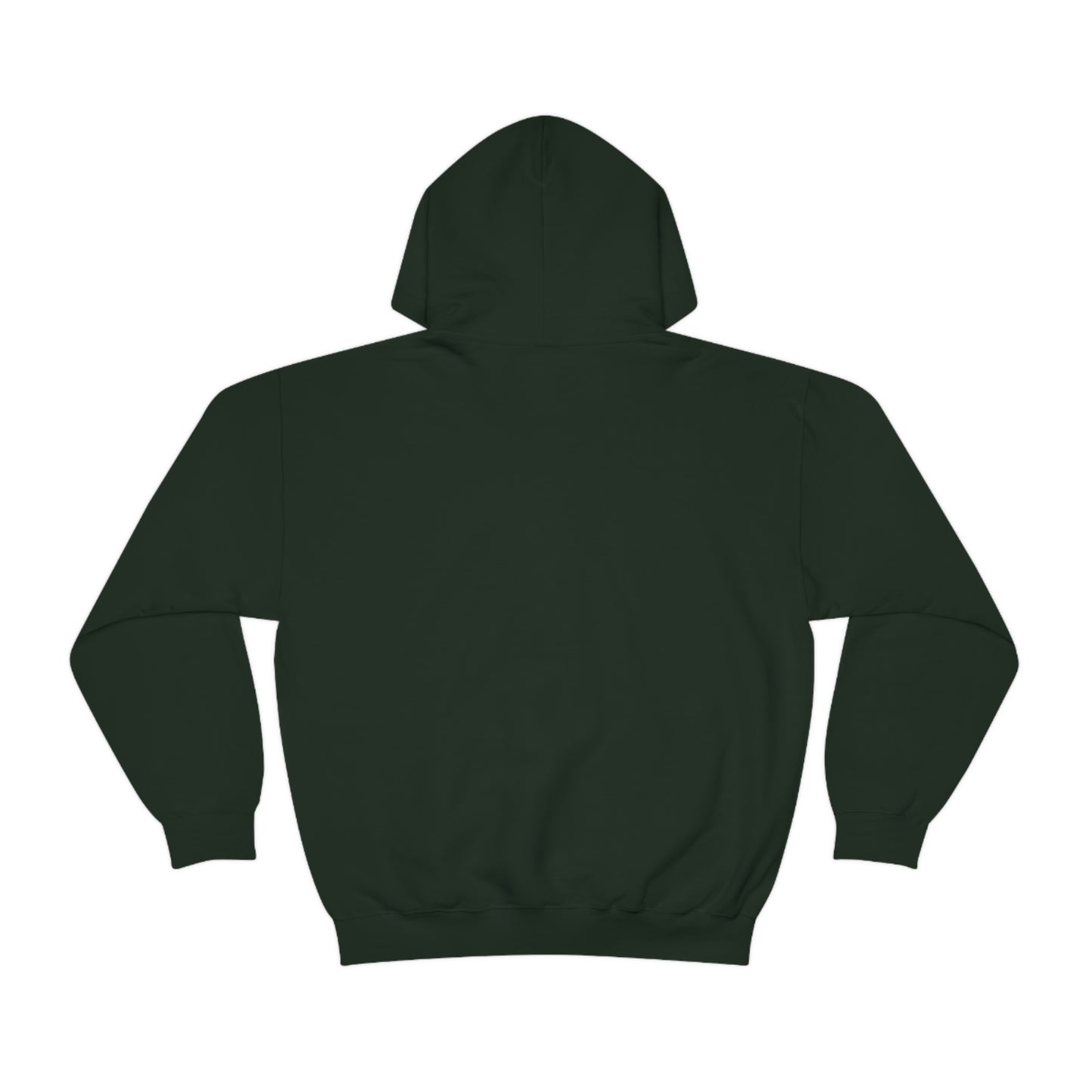 $20 IS $20 HOODIE