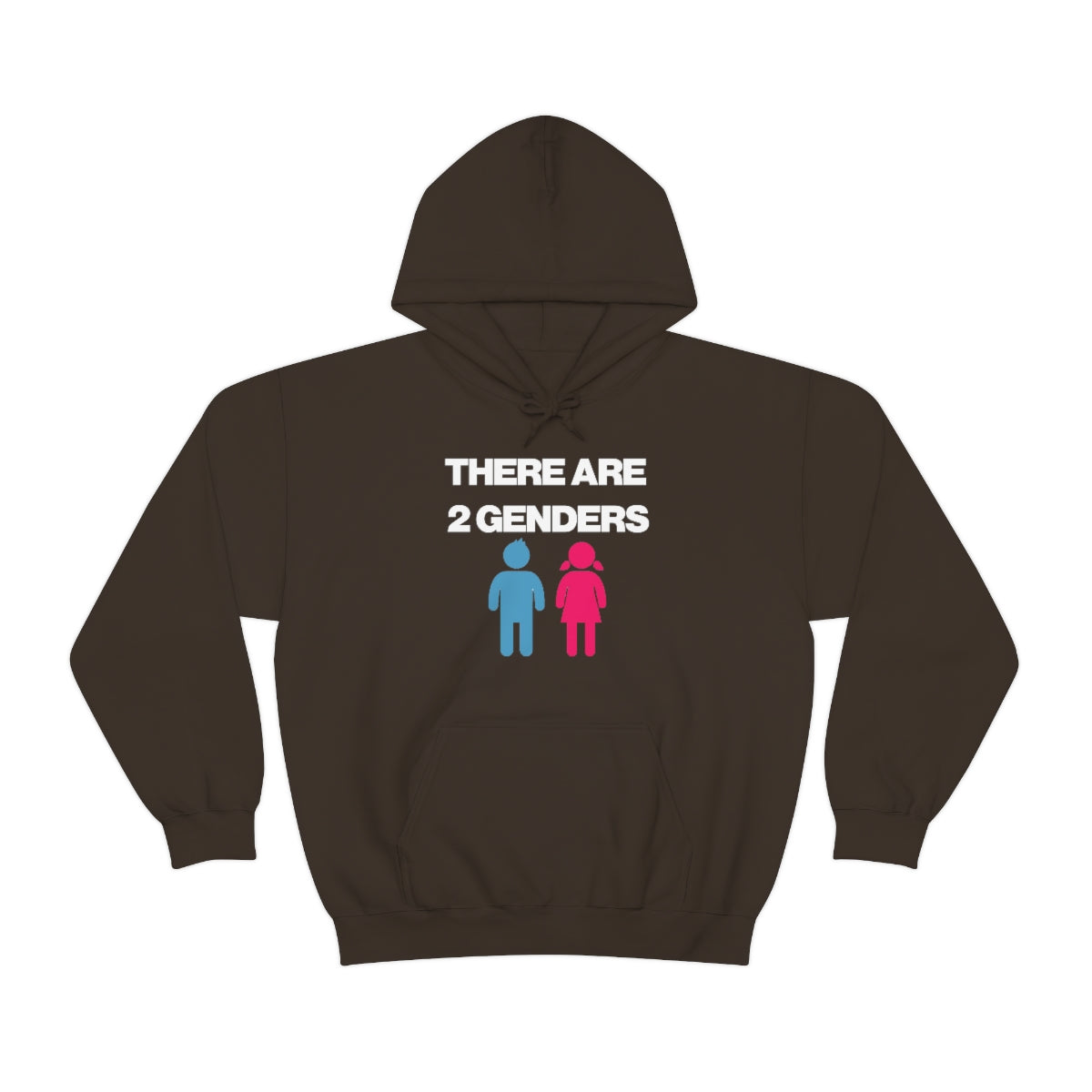 THERE ARE 2 GENDERS HOODIE