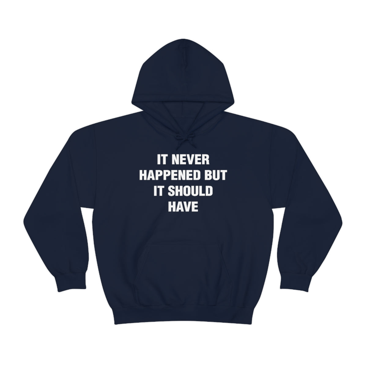 IT NEVER HAPPENED BUT IT SHOULD HAVE HOODIE