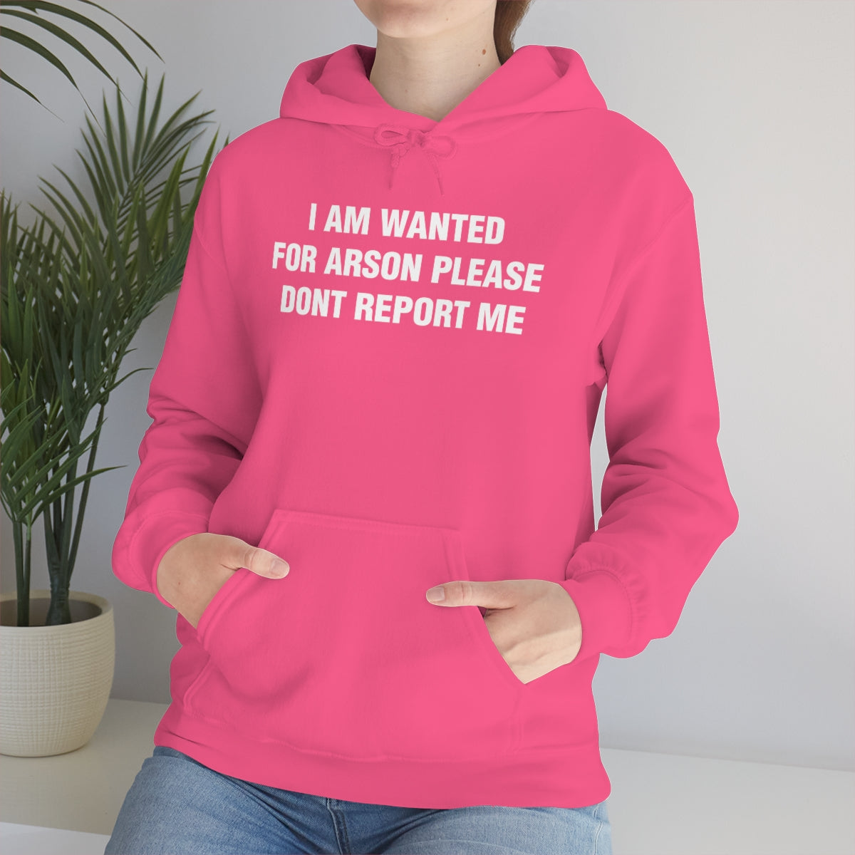 I AM WANTED  FOR ARSON PLEASE  DONT REPORT ME HOODIE