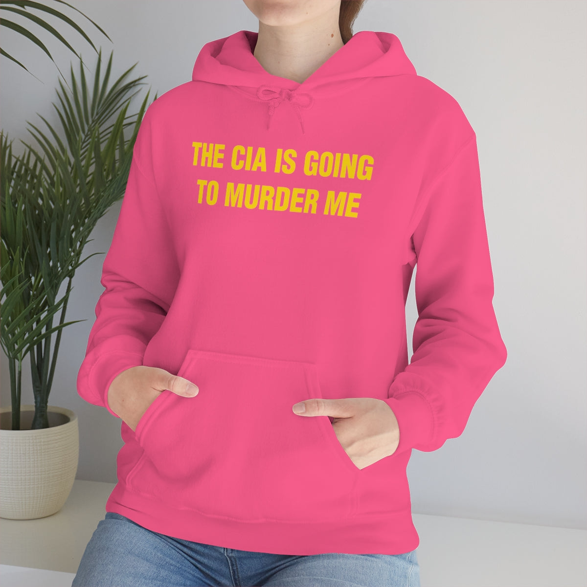 THE CIA IS GOING  TO MURDER ME HOODIE