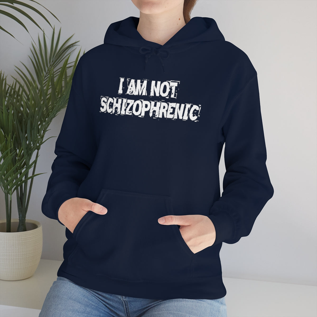 I AM NOT SCHIZOPHRENIC HOODIE