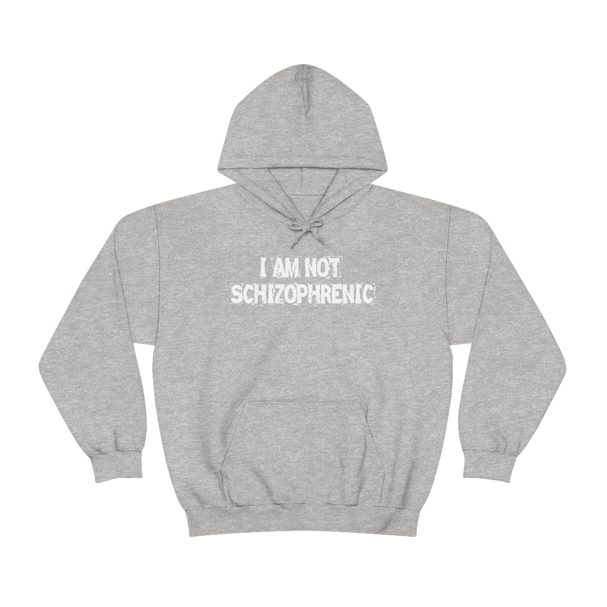 I AM NOT SCHIZOPHRENIC HOODIE