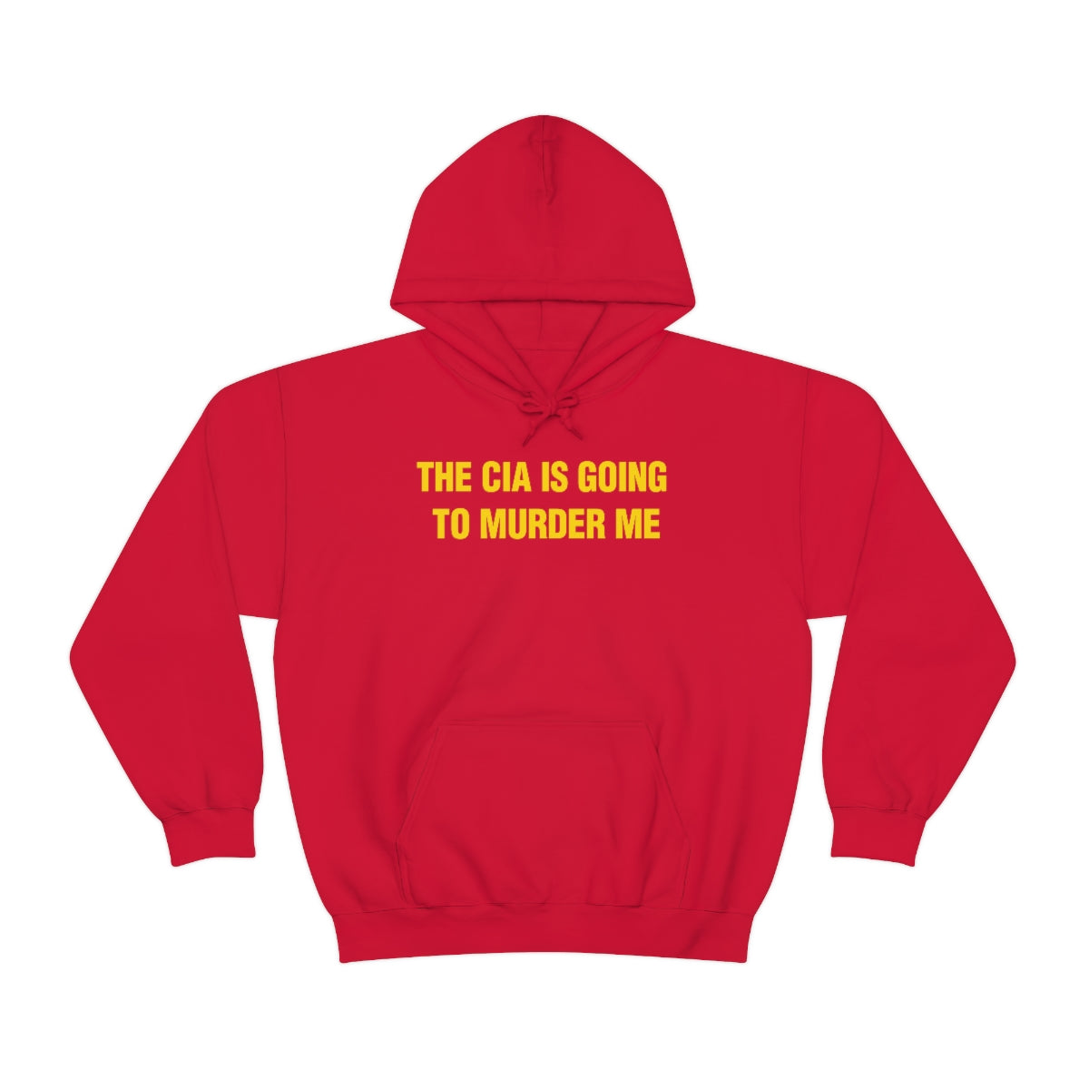 THE CIA IS GOING  TO MURDER ME HOODIE