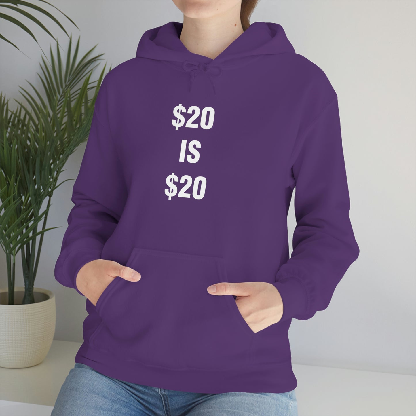 $20 IS $20 HOODIE