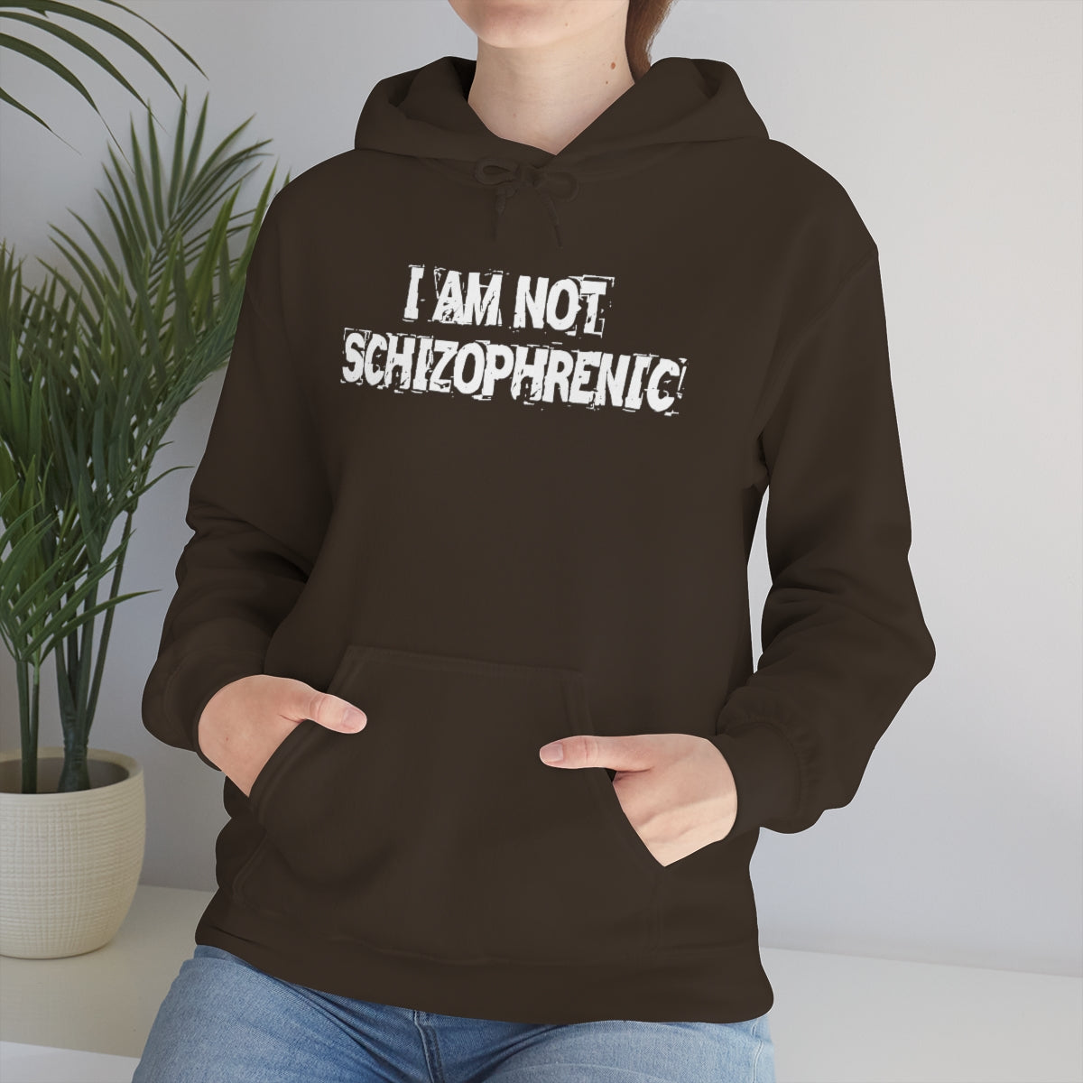 I AM NOT SCHIZOPHRENIC HOODIE