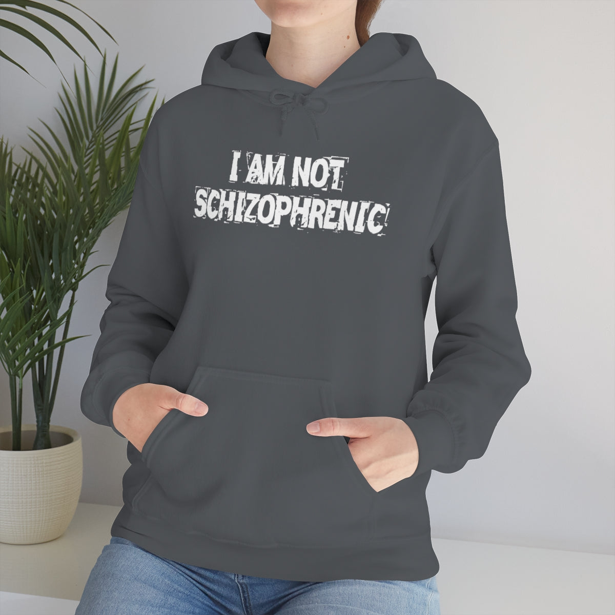 I AM NOT SCHIZOPHRENIC HOODIE